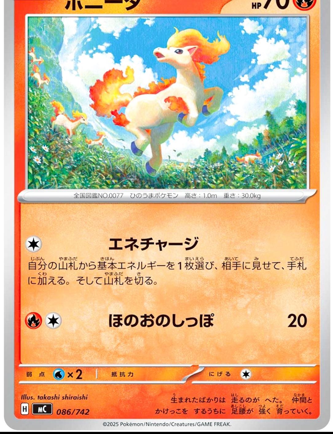 Ponyta